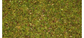 NOCH 08330 Herbe avec fleurs